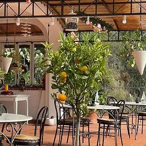 https://sotto-le-stelle-il-mare.hotelitalianriviera.com